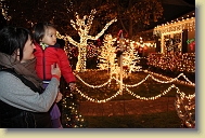 Christmas-Lights-Dec2013 (55) * 5184 x 3456 * (7.77MB)